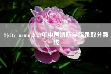 广东2021年中国消防学院录取分数线