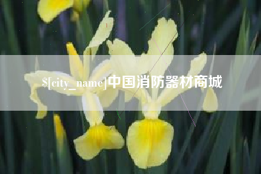 广东中国消防器材商城