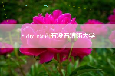 广东有没有消防大学