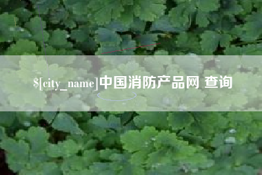 广东中国消防产品网 查询