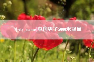 广东中国男子5000米冠军