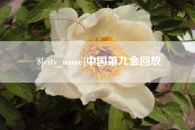 广东中国第九金回放