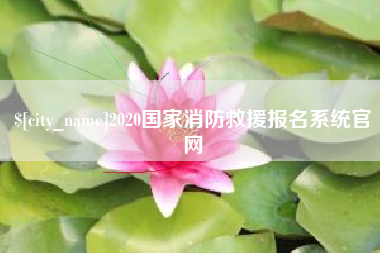 广东2020国家消防救援报名系统官网