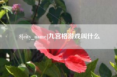 广东九宫格游戏叫什么