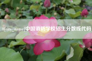 广东中国消防学校招生分数线代码