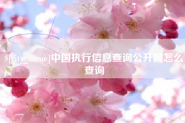 广东中国执行信息查询公开网怎么查询