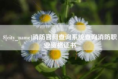 广东消防官网查询系统查询消防职业资格证书