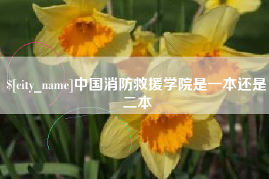 广东中国消防救援学院是一本还是二本