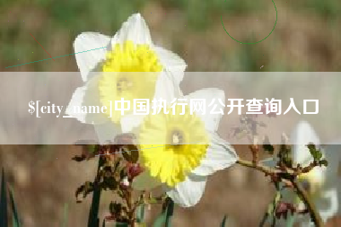 广东中国执行网公开查询入口