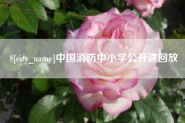 广东中国消防中小学公开课回放
