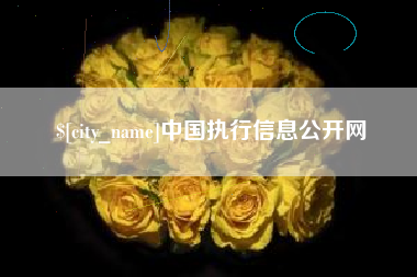 广东中国执行信息公开网