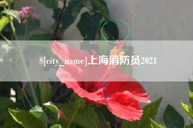 广东上海消防员2021