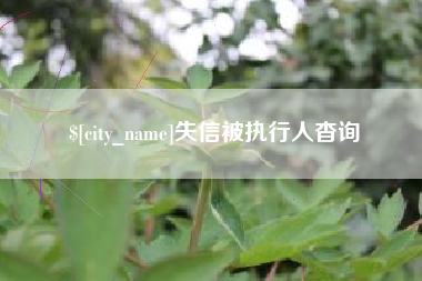 广东失信被执行人杳询
