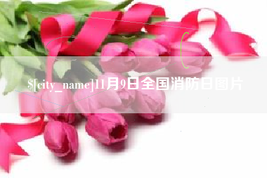 广东11月9日全国消防日图片
