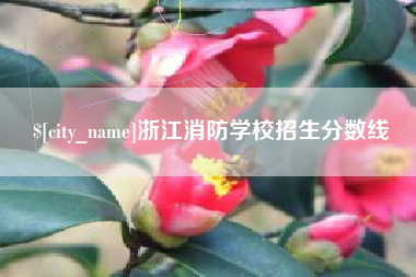 广东浙江消防学校招生分数线