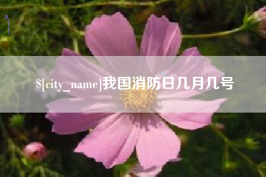 广东我国消防日几月几号