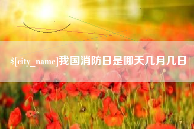 广东我国消防日是哪天几月几日