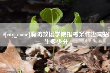 广东消防救援学院报考条件湖南招生多少分