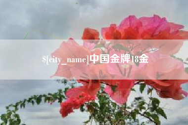 广东中国金牌18金