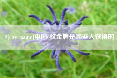 广东中国6枚金牌是哪些人获得的