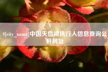 广东中国失信被执行人信息查询公开网址