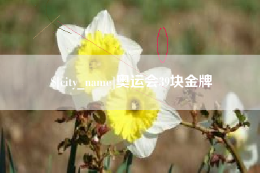 广东奥运会39块金牌