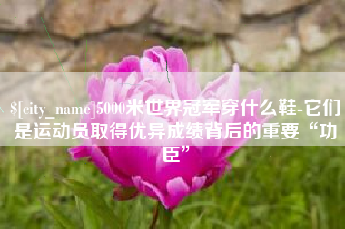 广东5000米世界冠军穿什么鞋-它们是运动员取得优异成绩背后的重要“功臣”