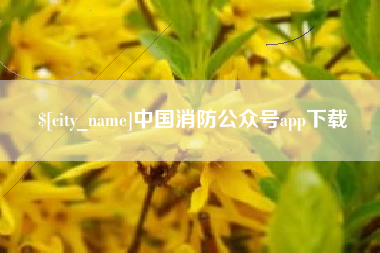 广东中国消防公众号app下载