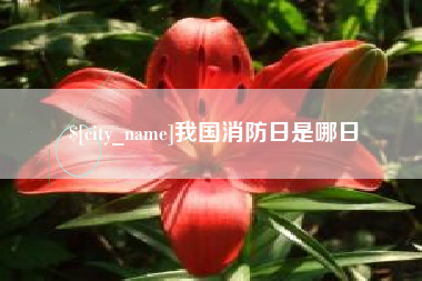 广东我国消防日是哪日
