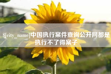 广东中国执行案件查询公开网都是执行不了得案子