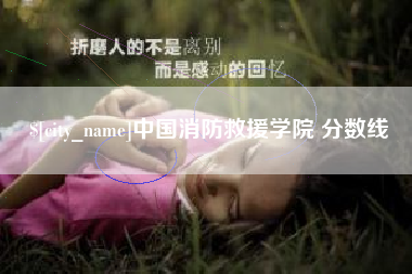 广东中国消防救援学院 分数线