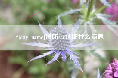 广东消防ccc认证什么意思