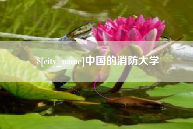 广东中国的消防大学