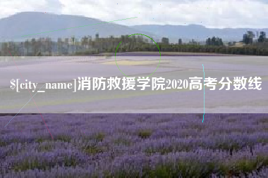 广东消防救援学院2020高考分数线