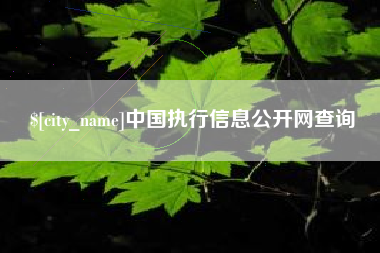 广东中国执行信息公开网查询