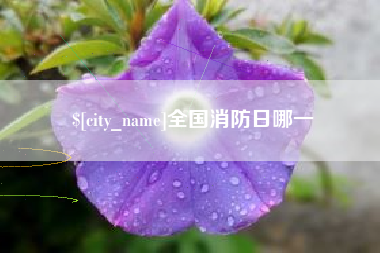 广东全国消防日哪一