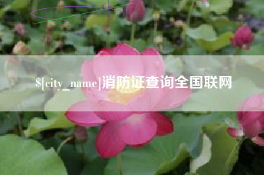 广东消防证查询全国联网