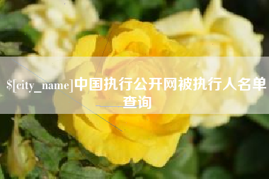 广东中国执行公开网被执行人名单查询