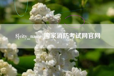 广东国家消防考试网官网