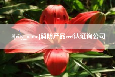 广东消防产品cccf认证询公司