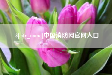 广东中国消防网官网入口