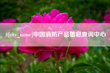 广东中国消防产品信息查询中心