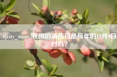 广东我国的消防日是每年的11月9日对吗？