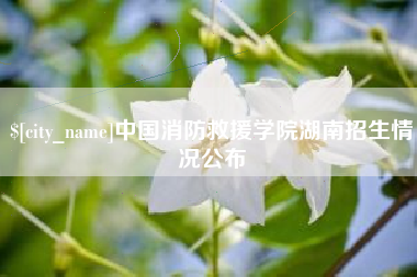 广东中国消防救援学院湖南招生情况公布