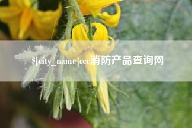 广东ccc消防产品查询网