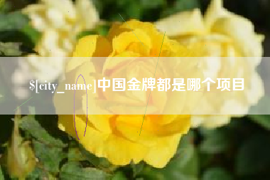 广东中国金牌都是哪个项目