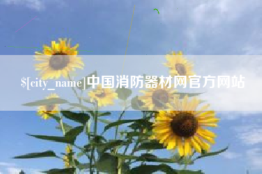 广东中国消防器材网官方网站