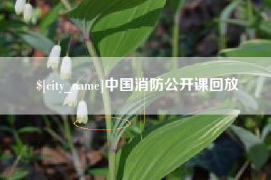 广东中国消防公开课回放