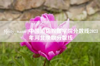 广东中国消防救援学院分数线2023年河北录取分数线