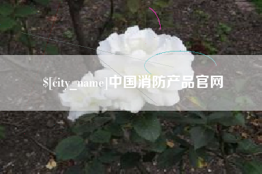 广东中国消防产品官网